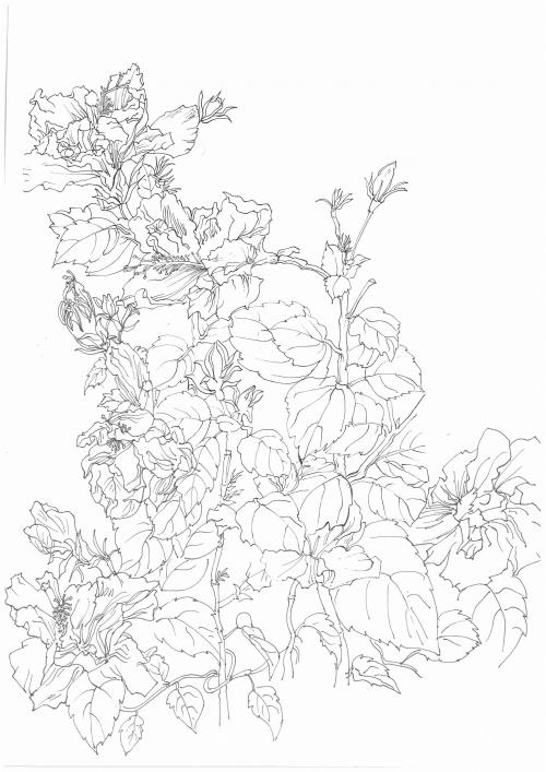 制作唐斯泰特医学中心文凭毕业证